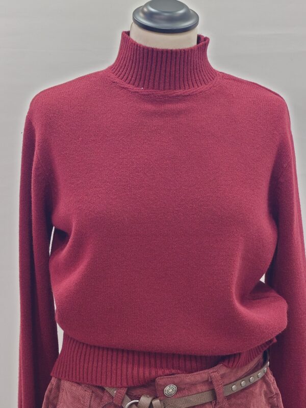 20251028_132731 Maglioncino lupetto