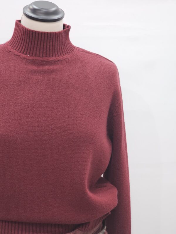 20251028_132754 Maglioncino lupetto